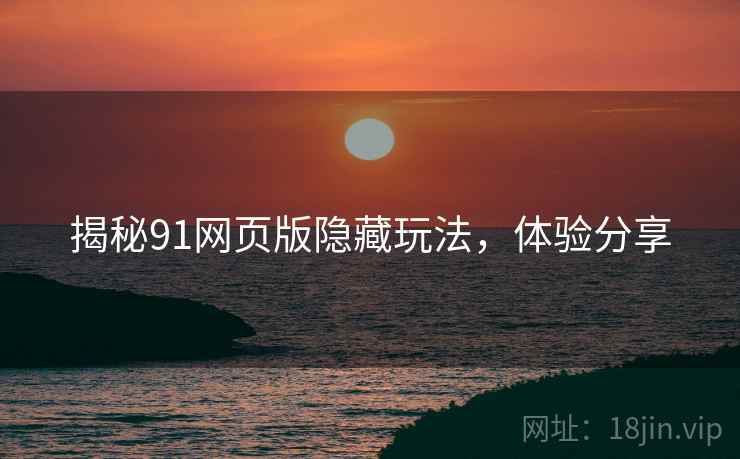 揭秘91网页版隐藏玩法，体验分享