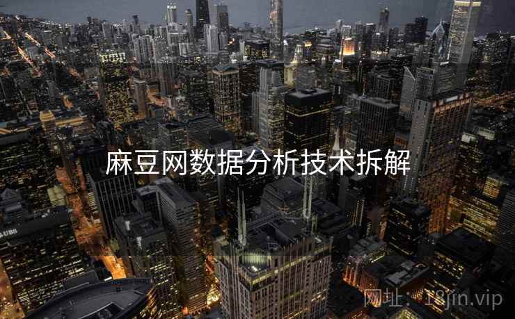 麻豆网数据分析技术拆解