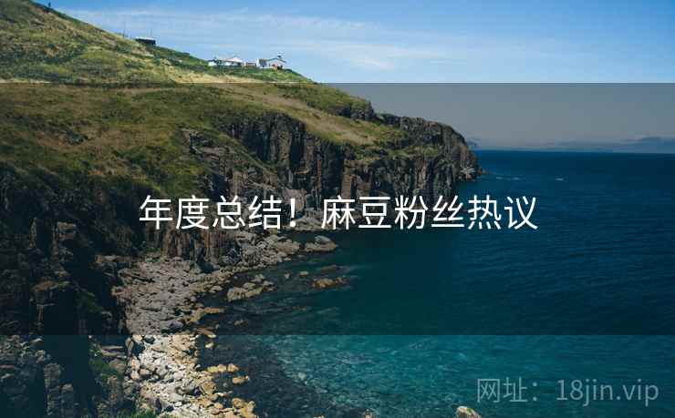 年度总结！麻豆粉丝热议