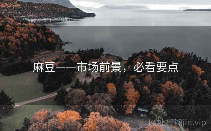 麻豆——市场前景，必看要点
