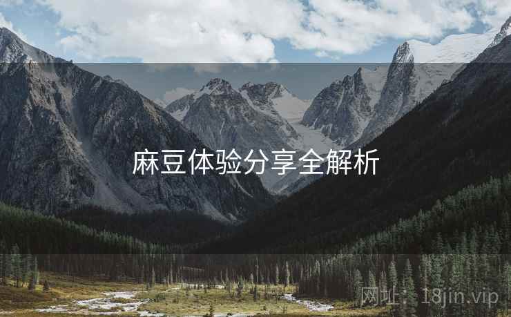 麻豆体验分享全解析