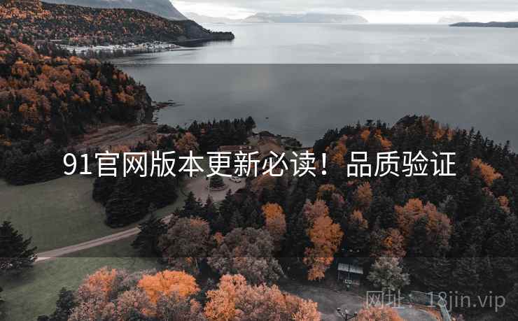 91官网版本更新必读！品质验证
