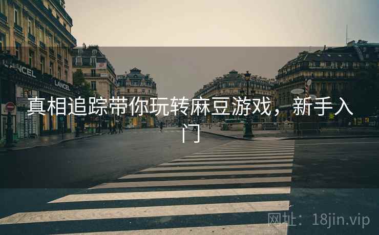 真相追踪带你玩转麻豆游戏，新手入门