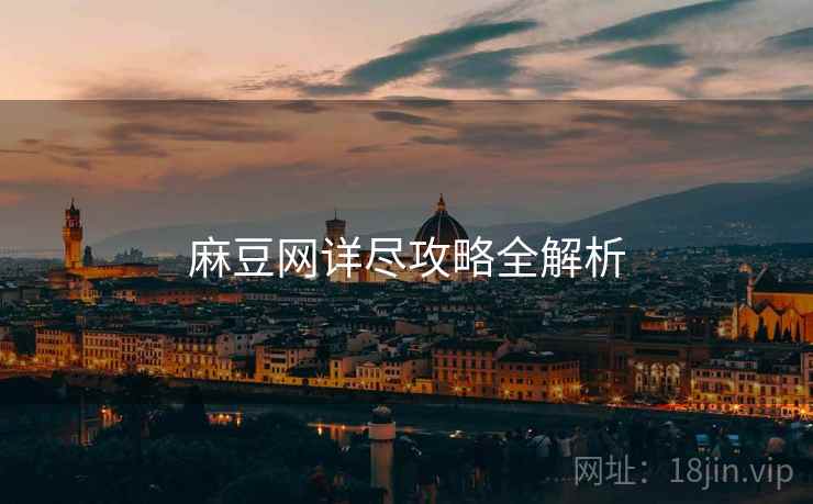 麻豆网详尽攻略全解析