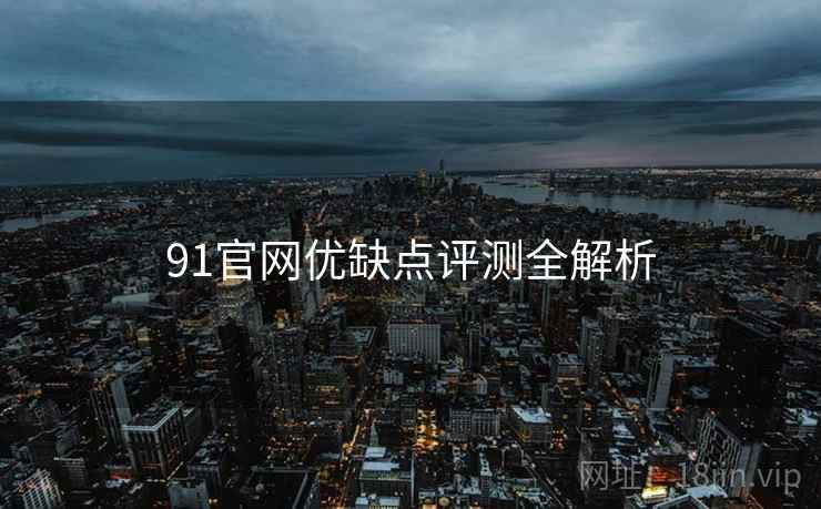 91官网优缺点评测全解析