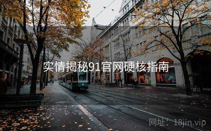 实情揭秘91官网硬核指南