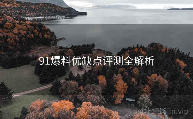 91爆料优缺点评测全解析