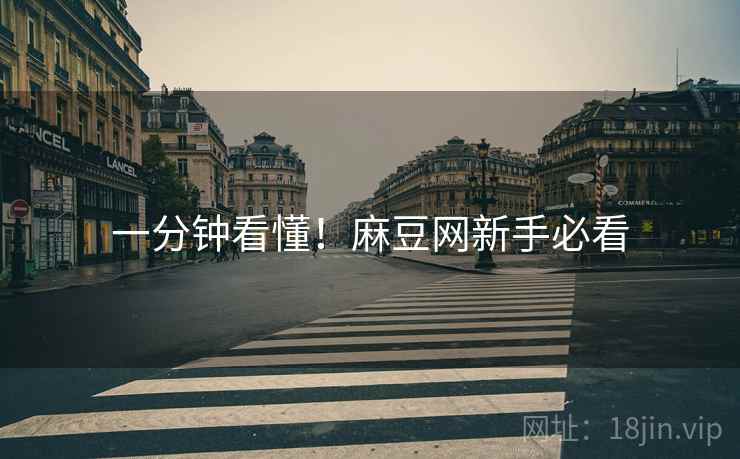 一分钟看懂！麻豆网新手必看