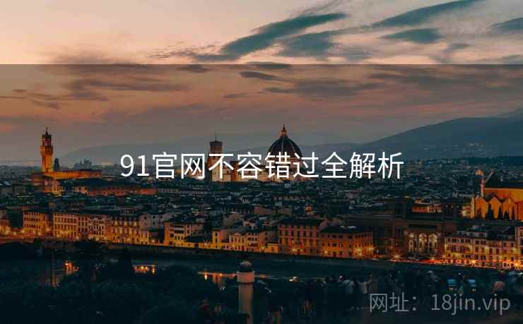 91官网不容错过全解析