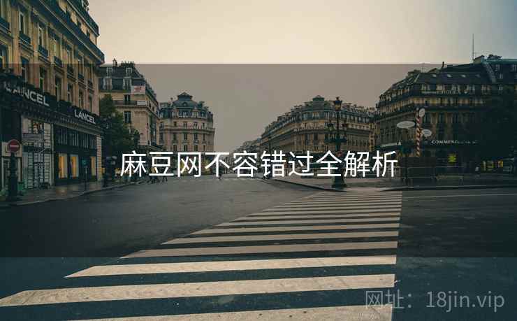 麻豆网不容错过全解析