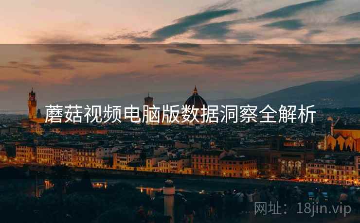 蘑菇视频电脑版数据洞察全解析