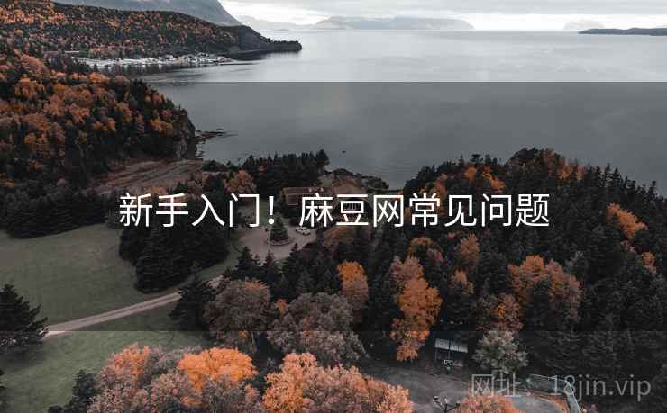 新手入门！麻豆网常见问题