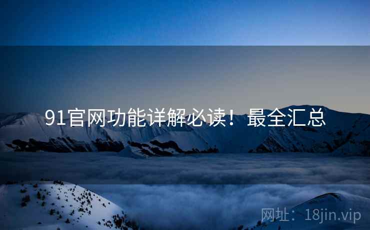 91官网功能详解必读！最全汇总