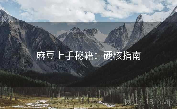麻豆上手秘籍：硬核指南