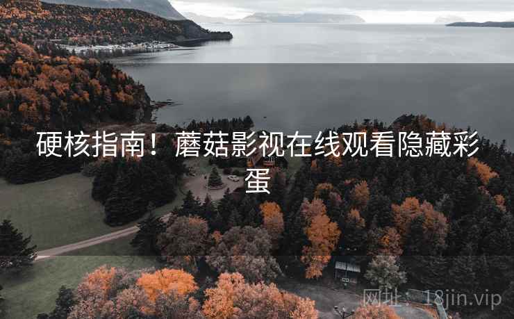 硬核指南！蘑菇影视在线观看隐藏彩蛋