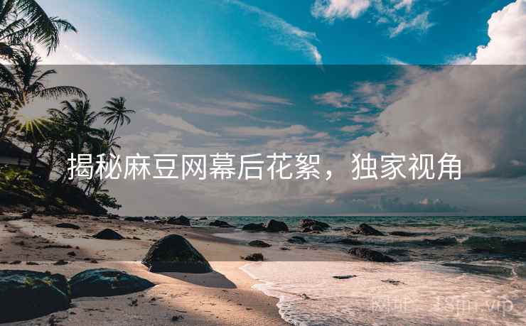 揭秘麻豆网幕后花絮，独家视角