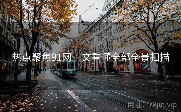 热点聚焦91网一文看懂全部全景扫描