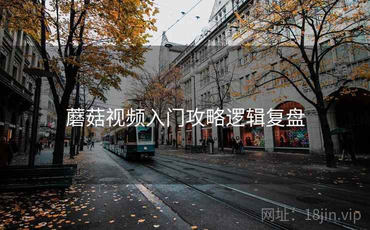 蘑菇视频入门攻略逻辑复盘