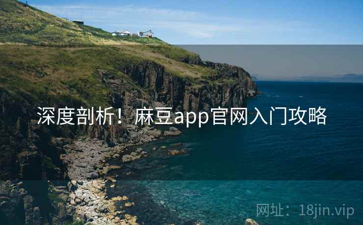 深度剖析！麻豆app官网入门攻略