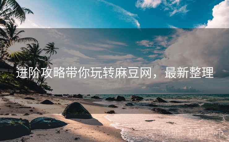 进阶攻略带你玩转麻豆网，最新整理