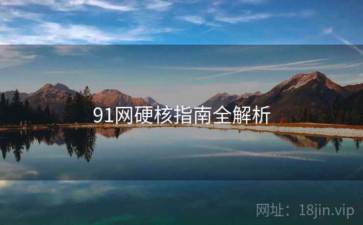 91网硬核指南全解析