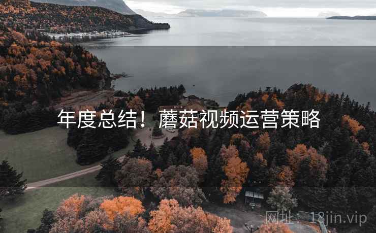 年度总结！蘑菇视频运营策略