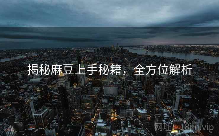 揭秘麻豆上手秘籍，全方位解析