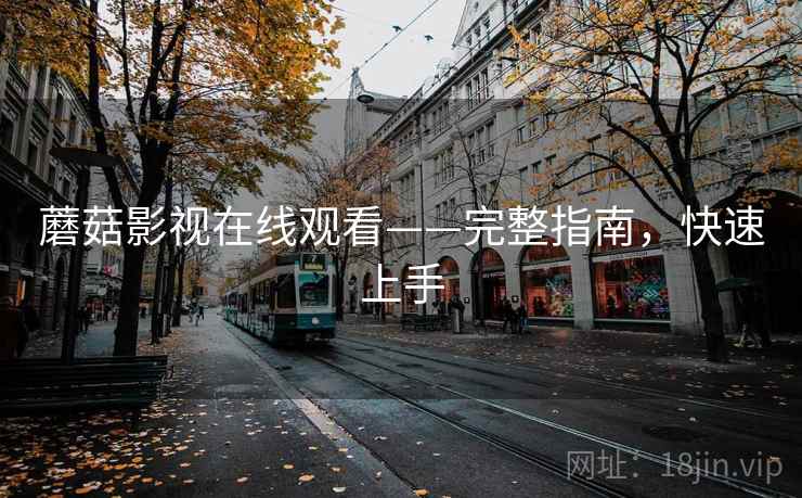 蘑菇影视在线观看——完整指南，快速上手